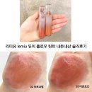 레미유 lemiu 듀이 플로우 틴트 02뮤트코랄 05다운로즈 6개월 사용 내돈내산 솔직후기 (+후회템)