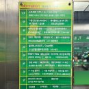 신마 | 부평마사지 북경중국정통마사지 점신마사지받은 솔직후기