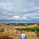 우도해안도로 이미지