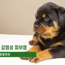 송도 클로버동물병원 이미지