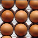 철원유통 이미지