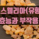 유향한의원 이미지