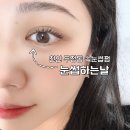 피드런 | 천안 두정동 속눈썹펌 | 눈썹하는날 - 노글루펌 후기