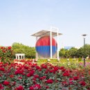 장미관문 이미지