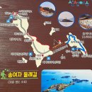 3월 정기 산행 안내 이미지