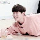 투마럽