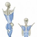 함께선수 & 퍼스널트레이닝 센터 이미지