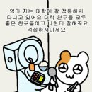 야생마식당 | 3월 모음집
