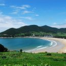 유자랜드펜션 이미지