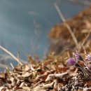 문산2리 이미지