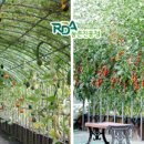 옐로우 터널 이미지