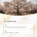 수양-0005 네이버블로그