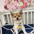 형곡동로 이미지