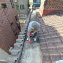 정릉4동 주민센터 | 성북 정릉 다세대 옥상방수 완벽 가이드 | 전체 동의 없이도 누수 해결하는 방법