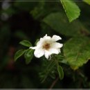 용수마을회관 이미지