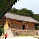 성일산채 이미지