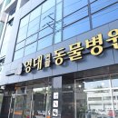 영대연합동물병원