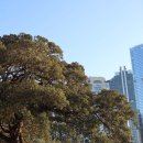 HOTEL PARK HILL 이미지