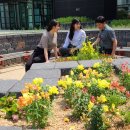 금산군청 광장 이미지