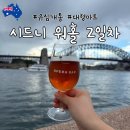 민토피아