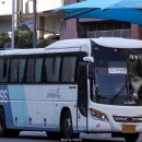 와이드대성 이미지