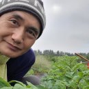 새희망 행정사사무소 이미지