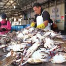 전북생활음악페스티벌 이미지