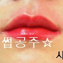 공주눈썹 Daum카페