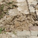 후포농장 이미지