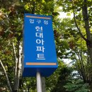 강남 압구정 압구정현대아파트 53평형 반전세(한강조망 가능)관련 디스코드 부동산 서버 안내 20221021 이미지
