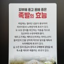 철수야족발먹자