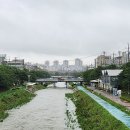 불광천 이미지