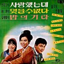 새빨간 장미꽃 / 김상희 (1968) 이미지