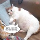 인성 - 광산구 평동로 1009 | 인성