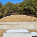 심덕부묘 이미지