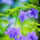 토요일 이미지