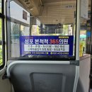 (주)본애드컴 | [성포 본척척 365 의원]안산버스내부광고 메디컬 후기