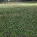 라온CC 골프연습장 이미지