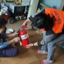 영양119 안전센터 이미지