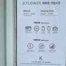 동철원농협본점 | [녜네&#39;s리뷰] 일산 한국화훼농협 봄꽃 행사ㅣ반려 식물 구매 후기ㅣ수경식물 키우기ㅣ이색 데이트 코스