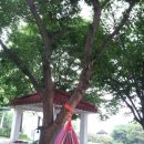 여주-0812 이미지