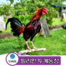 사봉농장 이미지