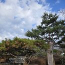 공주생명과학고 제2농장 | [충남 공주 맛집] [공주 한정식] 밥꽃하나피었네