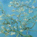 (주)피엔제이 이미지