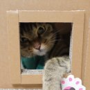 몽땅컴퍼니 이미지