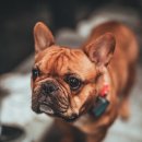 송파원동물병원 이미지