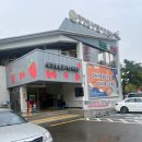 스마트팜 - 부여군 가회청포길 6 | 광명동굴 딸기스마트팜 후기, 날씨 제약 없는 서울 근교 실내 딸기체험