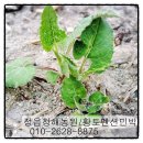 청해어린이공원 이미지