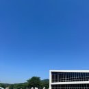 파주 대형카페 필무드 후기 | 데이지 시즌 데이트 코스 추천