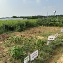 길용농장 이미지